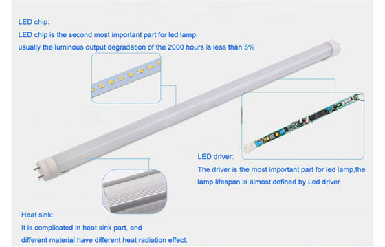 σωλήνας ελαφρύ 20watt 1780Lm των οδηγήσεων 120cm T8 για τον εσωτερικό φωτισμό