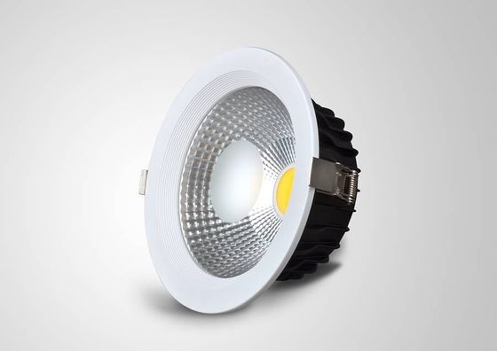 Τοποθετημένο Die-casting RA 80 Downlights των οδηγήσεων 25Watt IP45 θερμό άσπρο Dimmable για το στούντιο